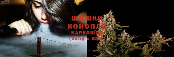прущие грибы Белоозёрский