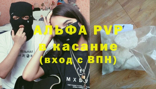прущие грибы Белоозёрский