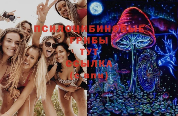 прущие грибы Белоозёрский