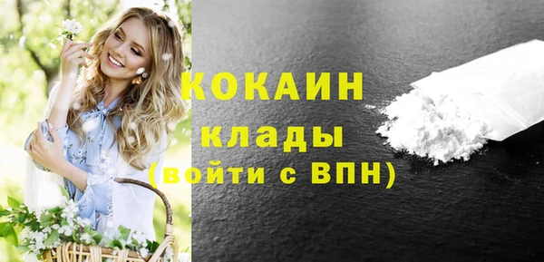 прущие грибы Белоозёрский