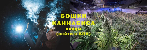 прущие грибы Белоозёрский