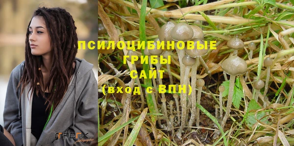 мдма Белокуриха