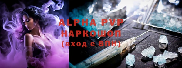 прущие грибы Белоозёрский