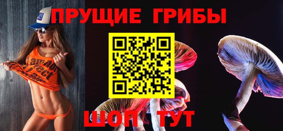 Псилоцибиновые грибы Magic Shrooms  дарнет шоп  Воркута  Псилоцибиновые грибы Psilocybe 