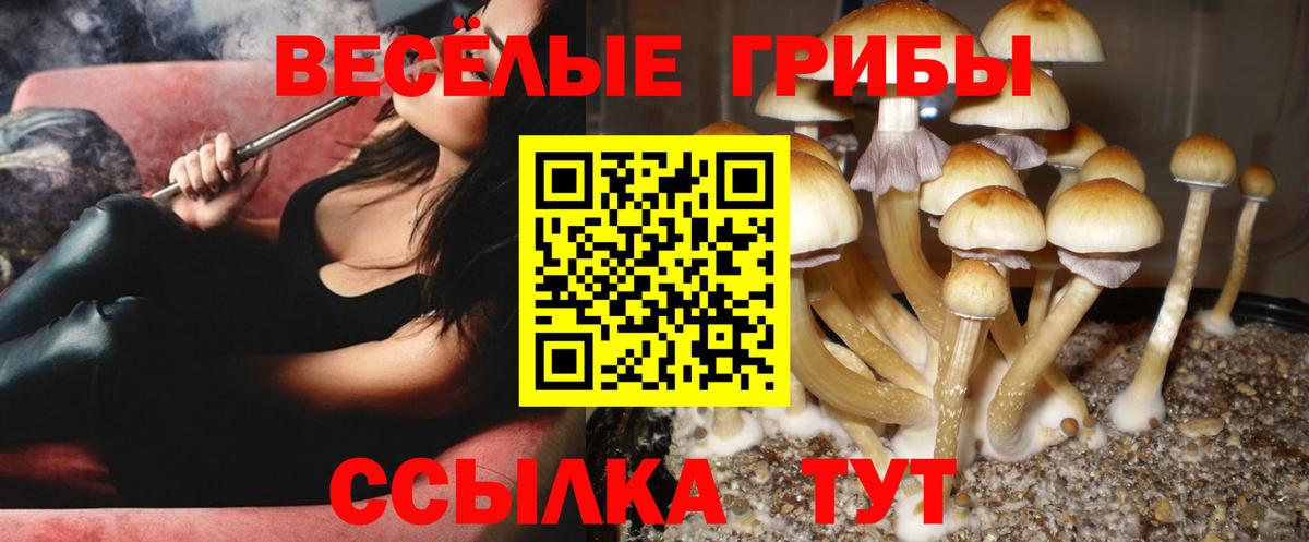 Псилоцибиновые грибы MAGIC MUSHROOMS  Псилоцибиновые грибы Cubensis  Воркута  Вход с VPN 